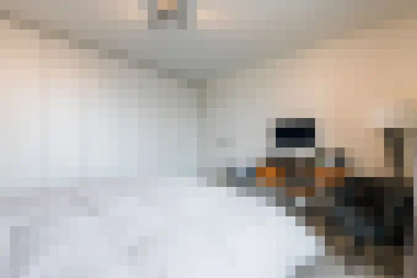 Flowcoatstraat 30 Eindhoven thumbnail 38