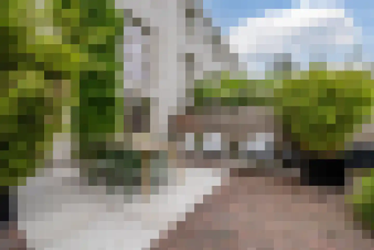 Flowcoatstraat 30 Eindhoven thumbnail 47