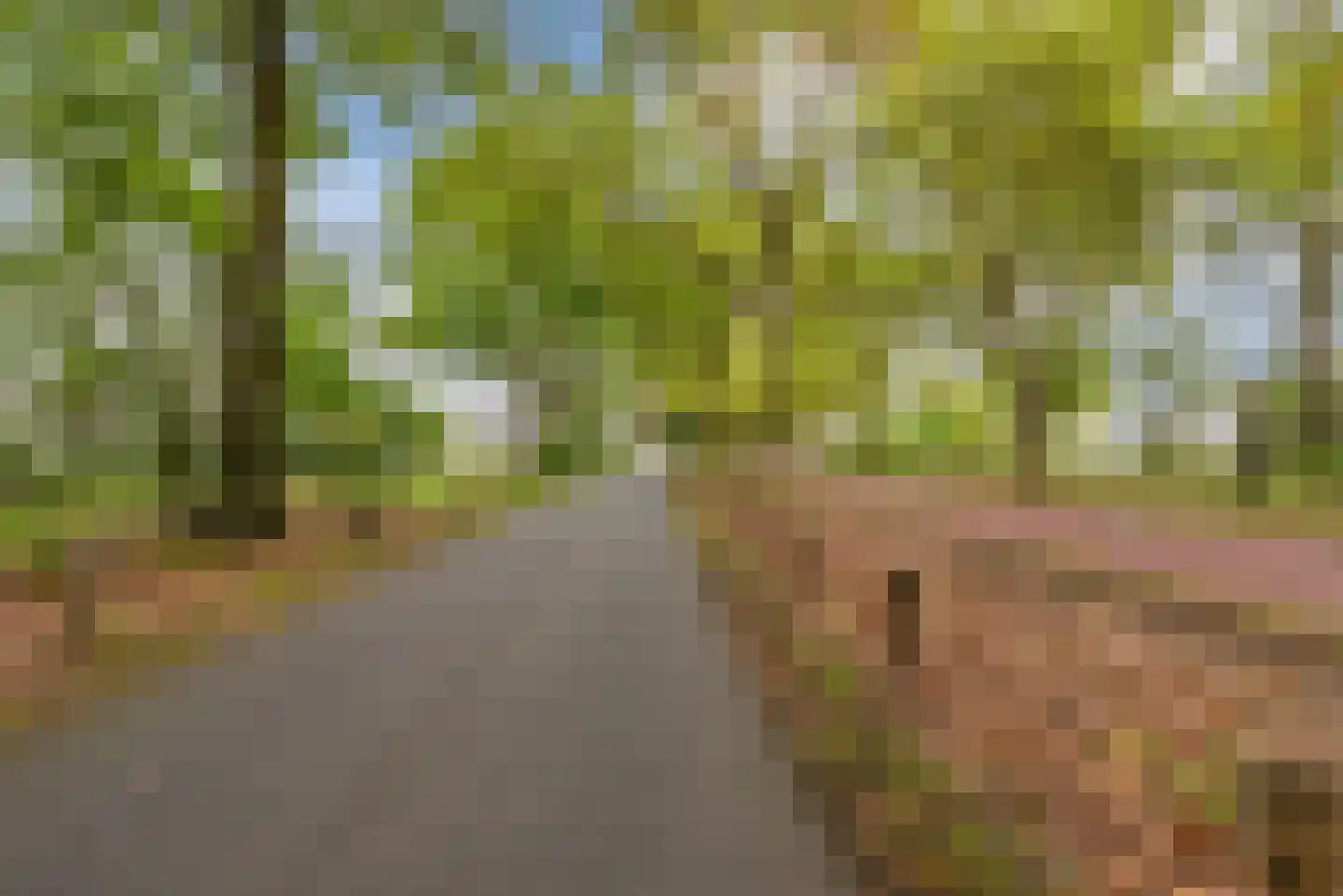Flowcoatstraat 30 Eindhoven thumbnail 56