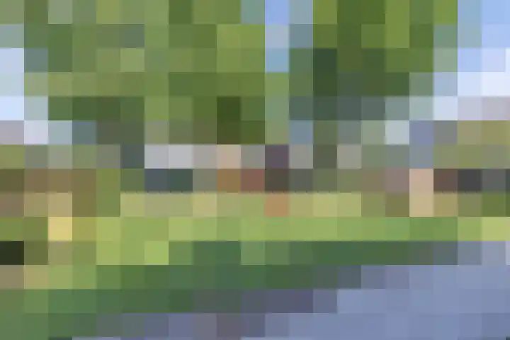 Fluessen 140 Drachten thumbnail 10