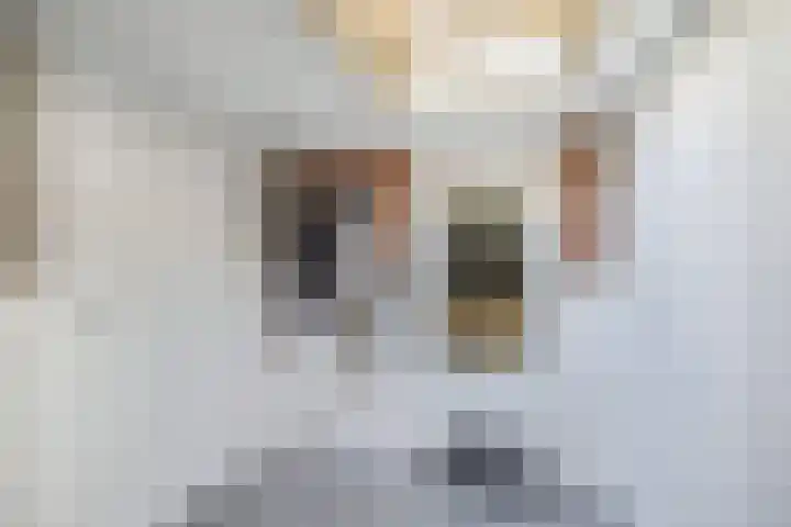 Fluessen 140 Drachten thumbnail 27