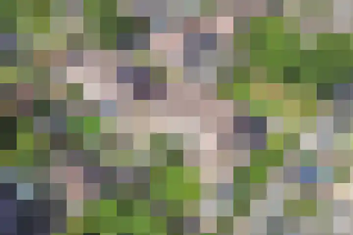 Fluessen 140 Drachten thumbnail 48