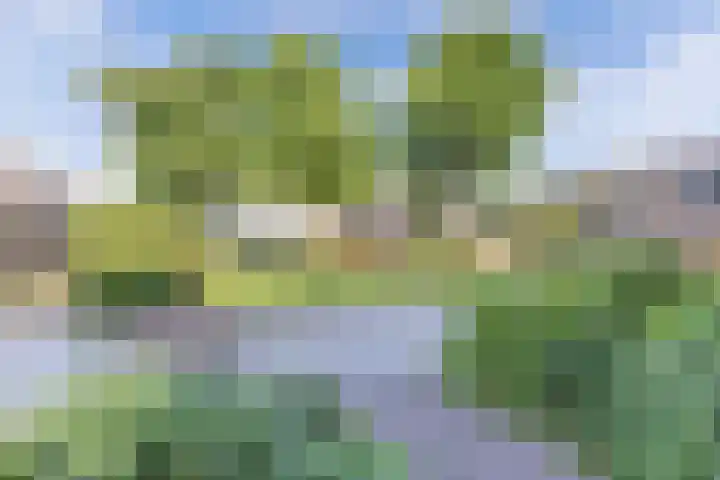 Fluessen 140 Drachten thumbnail 7