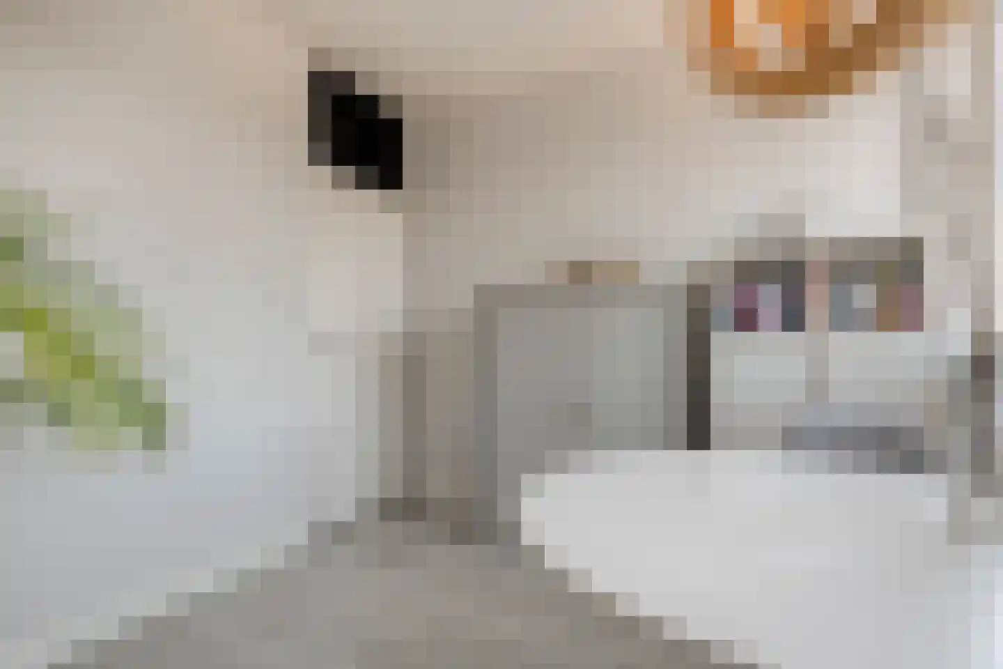 Fluessen 32 Zwolle thumbnail 33