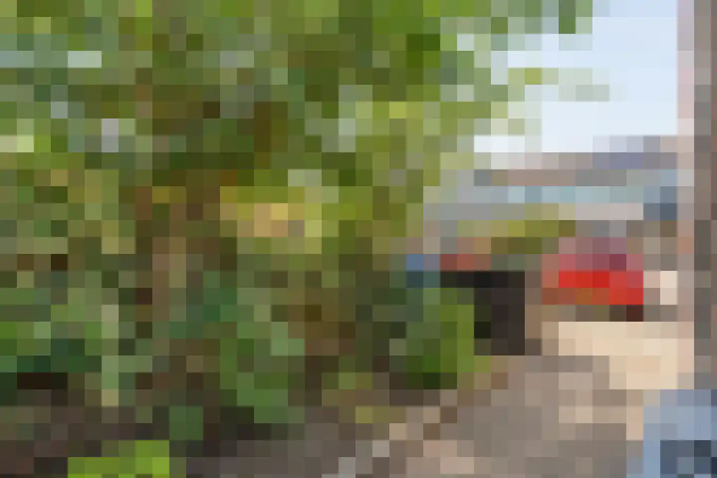 Fluessen 32 Zwolle thumbnail 6