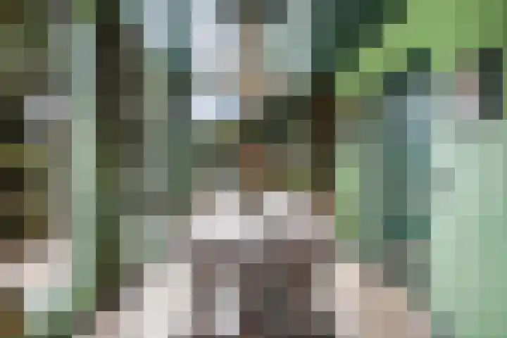 Fluessen 39 Heerenveen thumbnail 12