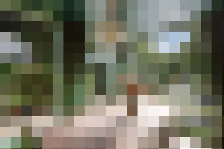 Fluessen 39 Heerenveen thumbnail 13