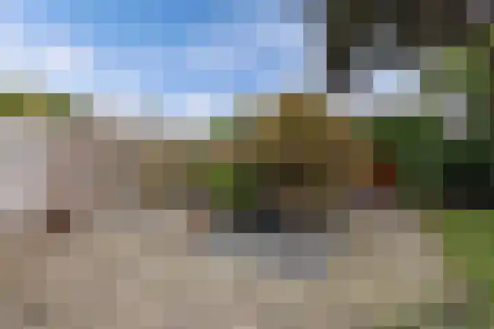 Fluessen 39 Heerenveen thumbnail 35