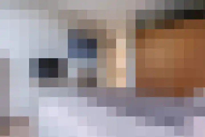 Fluessen 39 Zwolle thumbnail 16