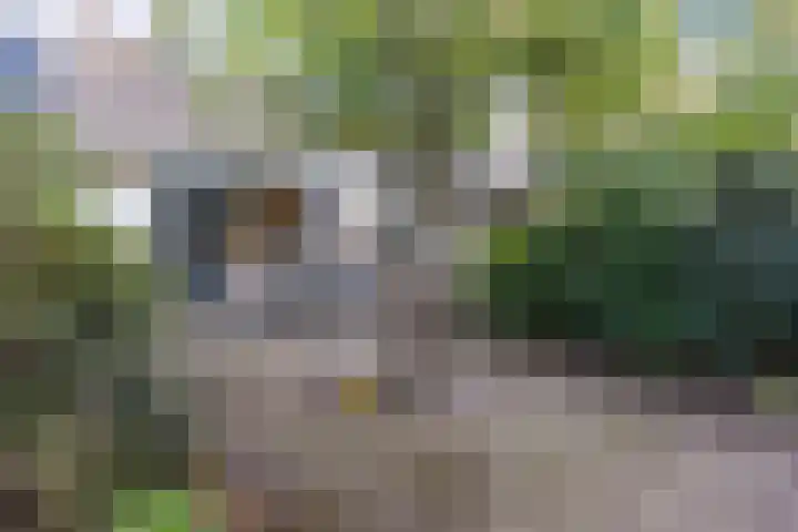 Fluessen 39 Zwolle thumbnail 32