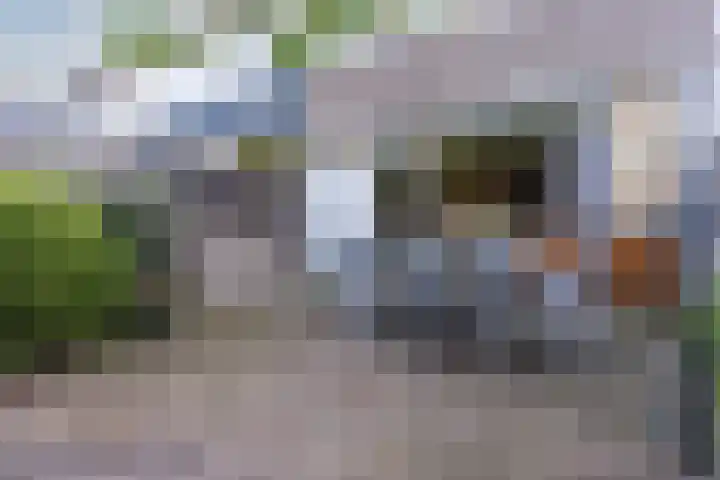 Fluessen 39 Zwolle thumbnail 33