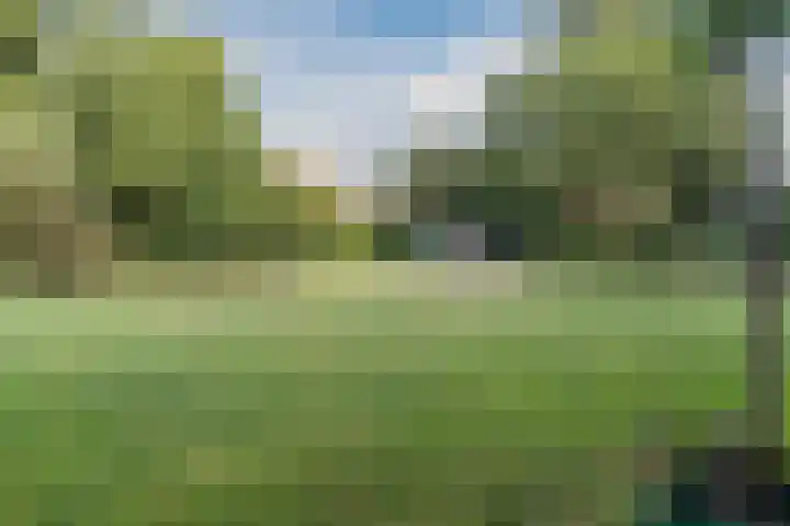 Fluessen 39 Zwolle thumbnail 39