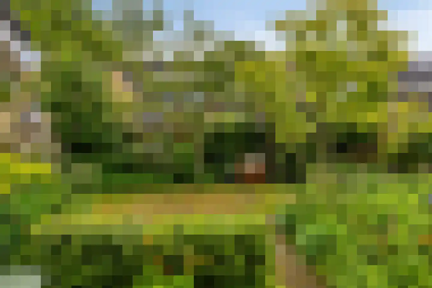 Fluessen 68 Drachten thumbnail 39