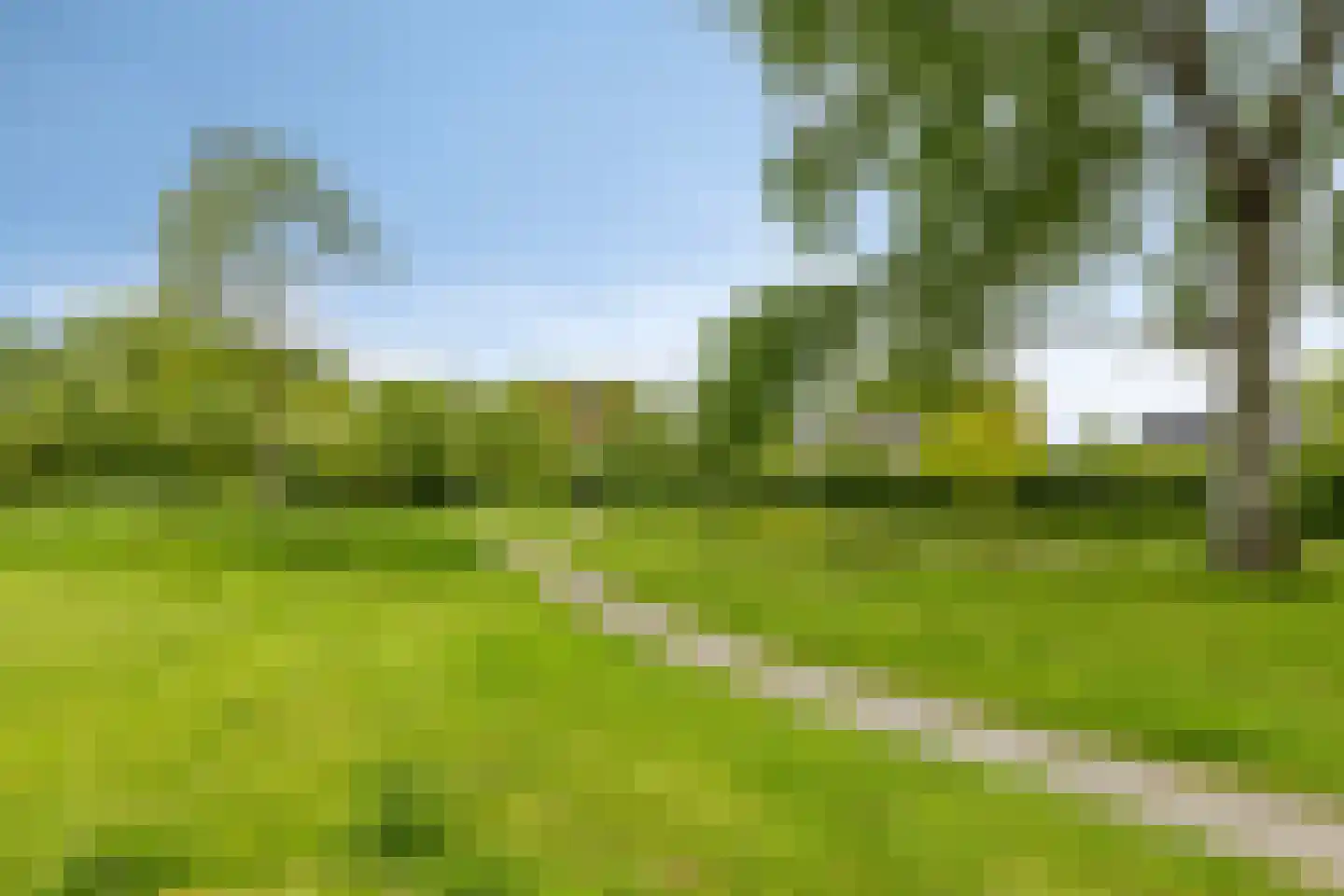 Fluessen 68 Drachten thumbnail 45