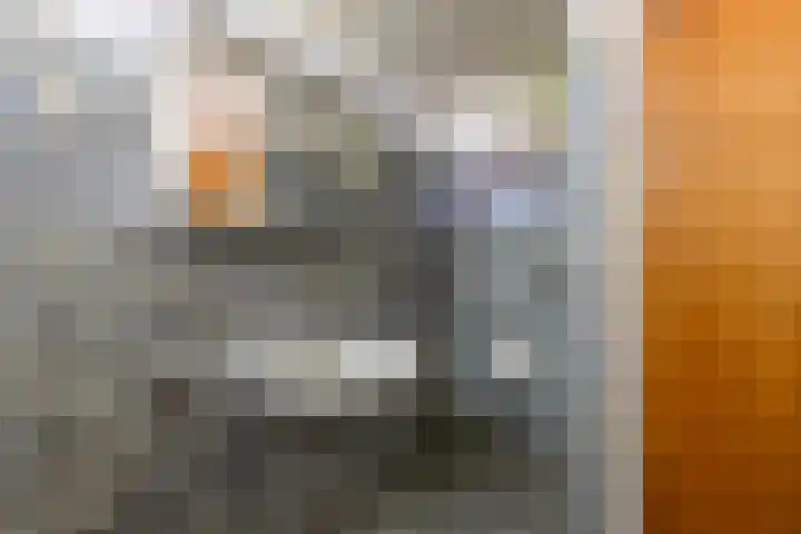 Fluessen 73 Drachten thumbnail 39