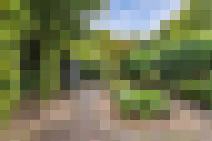 Fluessen 73 Drachten thumbnail 48