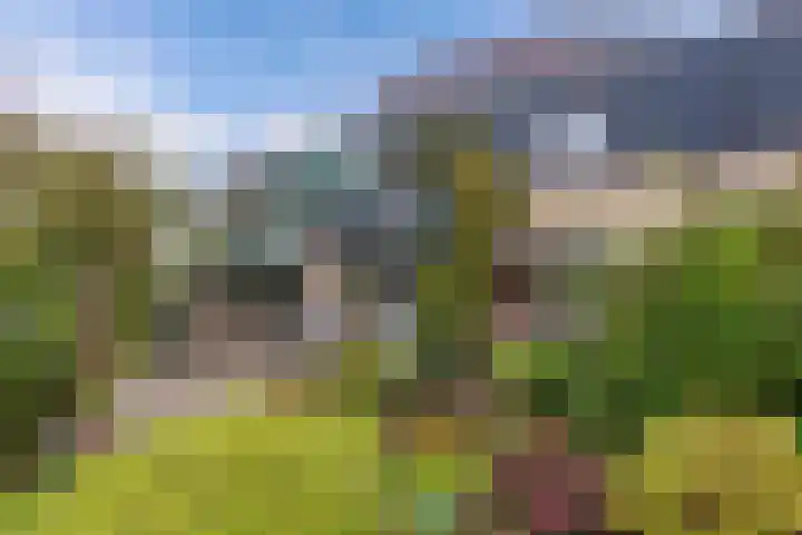 Fluessen 73 Drachten thumbnail 5