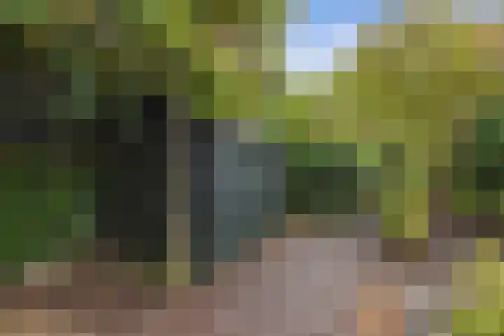 Fluessen 73 Drachten thumbnail 52