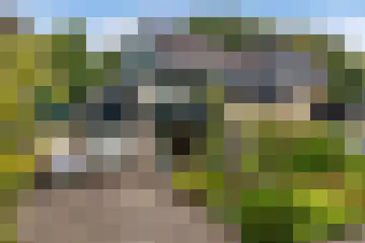 Fluessen 73 Drachten thumbnail 6