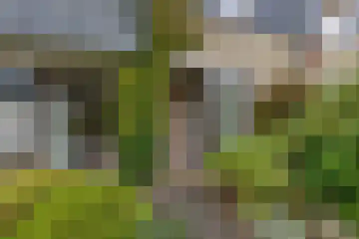 Fluessen 73 Drachten thumbnail 7