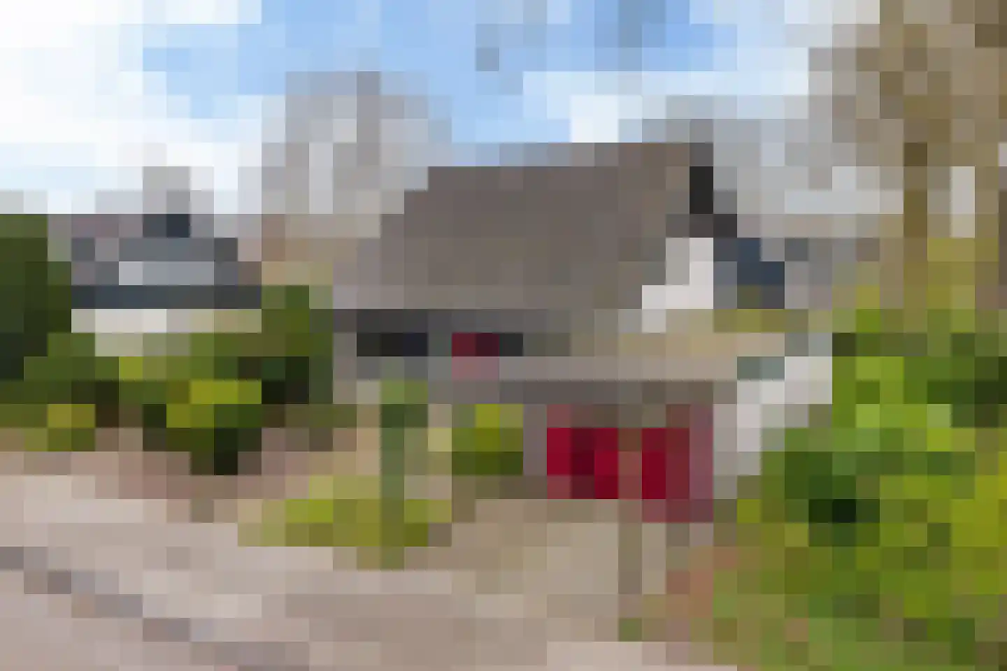 Fluessen 76 Drachten thumbnail 56