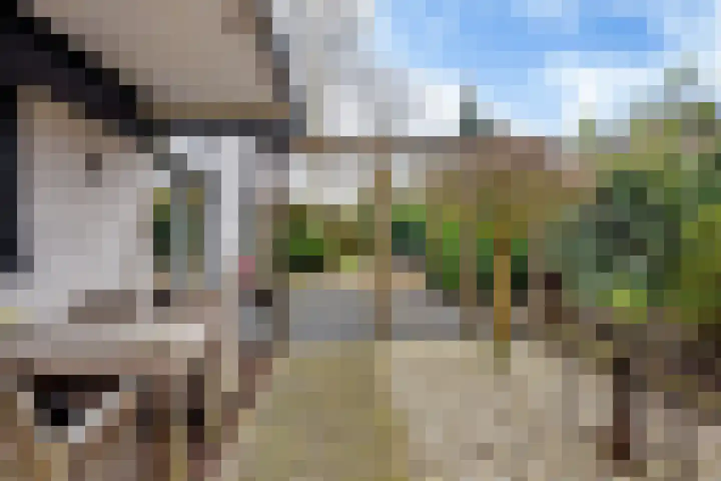 Fluessen 76 Drachten thumbnail 60
