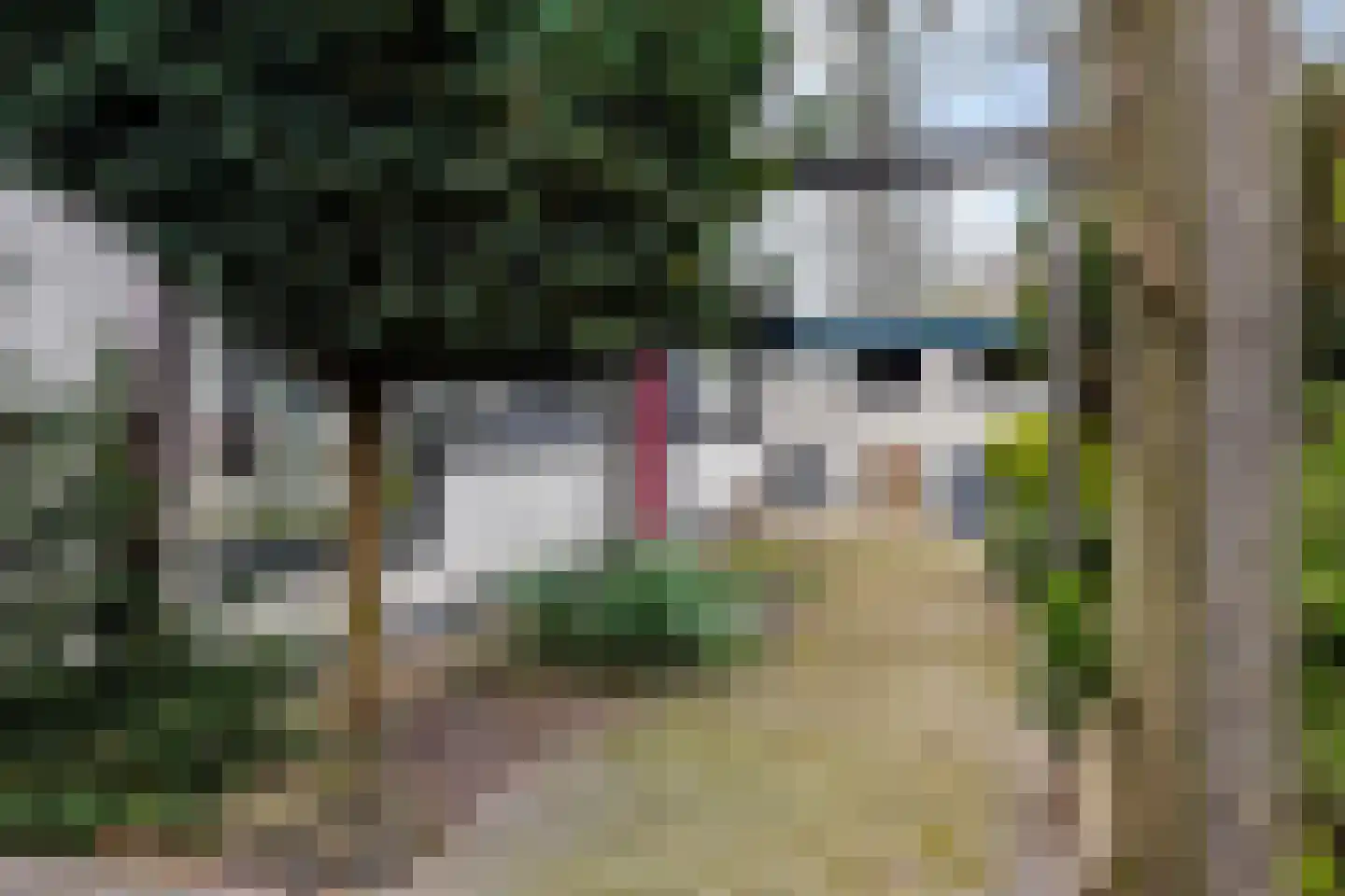 Fluessen 76 Drachten thumbnail 70