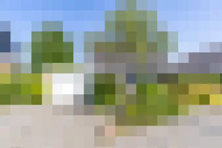 Fluessen 9 Drachten thumbnail 4