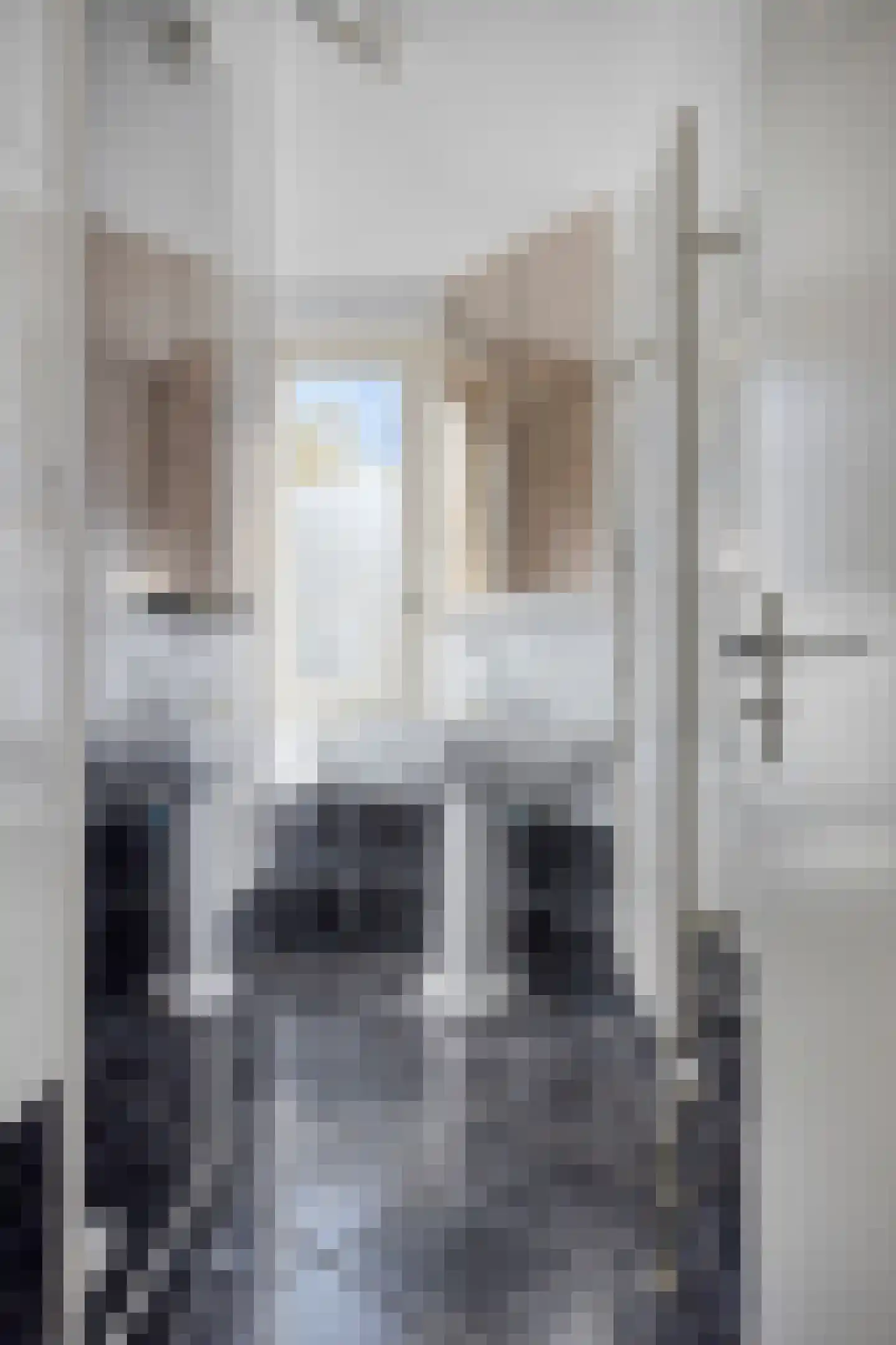 Fluessenlaan 42 Amsterdam thumbnail 19