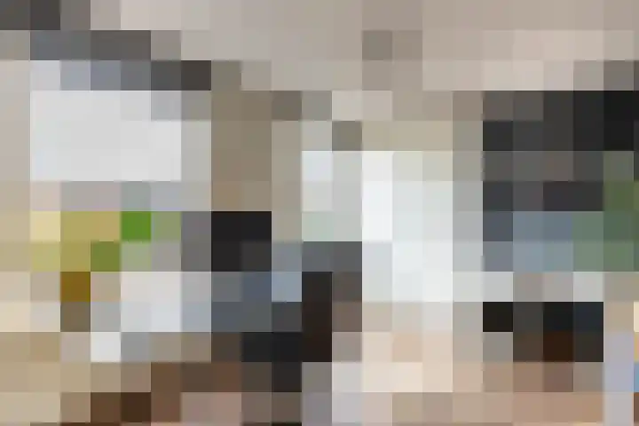 Fluessenlaan 8 Amsterdam thumbnail 13