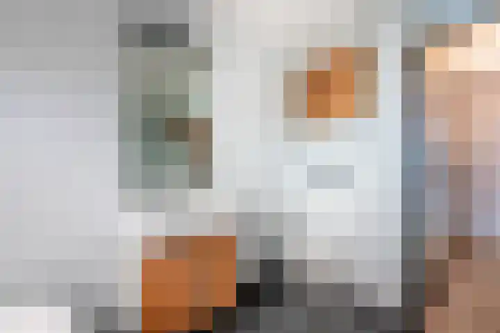Fluessenlaan 8 Amsterdam thumbnail 16