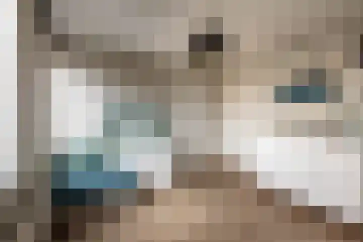 Fluessenlaan 8 Amsterdam thumbnail 20