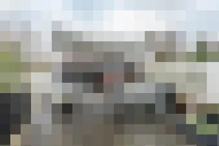 Fluessenlaan 8 Amsterdam thumbnail 25