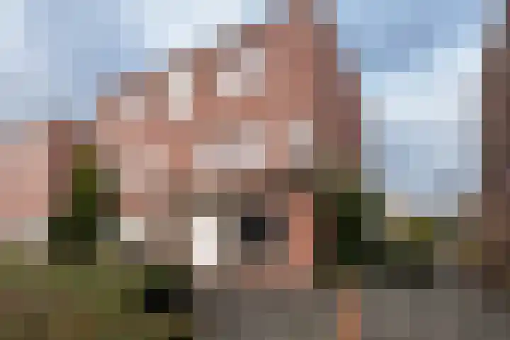 Fluessenlaan 8 Amsterdam thumbnail 27
