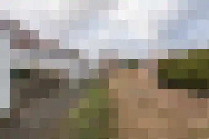 Fluessenlaan 8 Amsterdam thumbnail 28