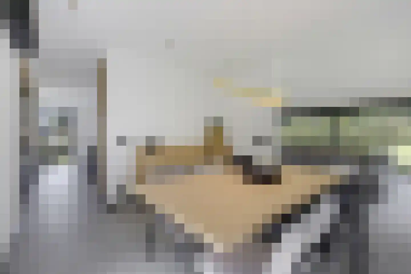 Flugi van Aspermontlaan 21 Rozendaal thumbnail 17