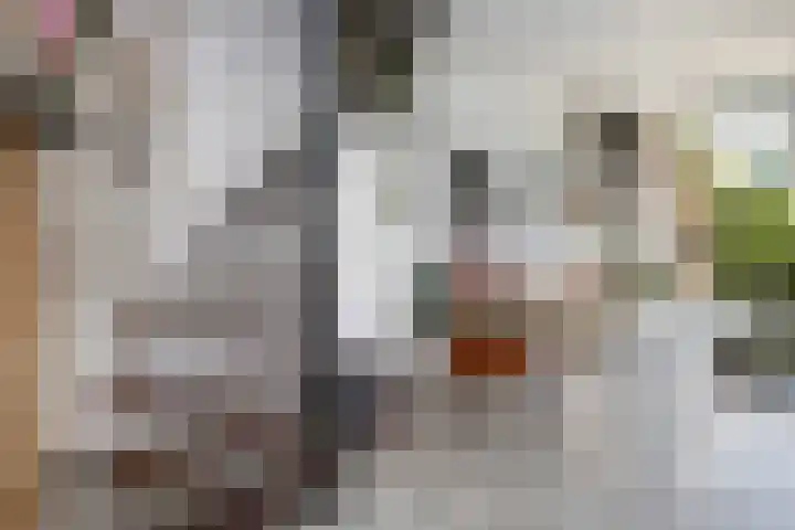 Fluitekamp 10 Hoogland thumbnail 14