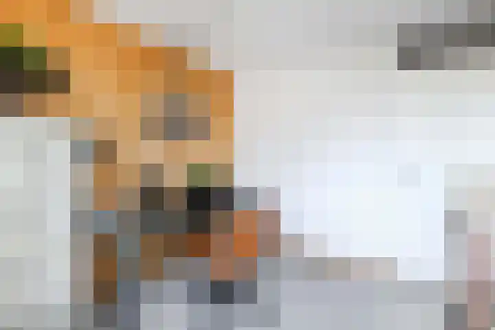 Fluitekamp 10 Hoogland thumbnail 19