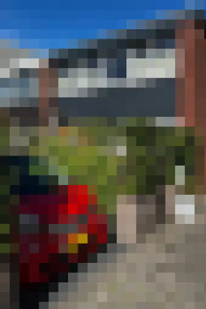Fluitekamp 10 Hoogland thumbnail 40