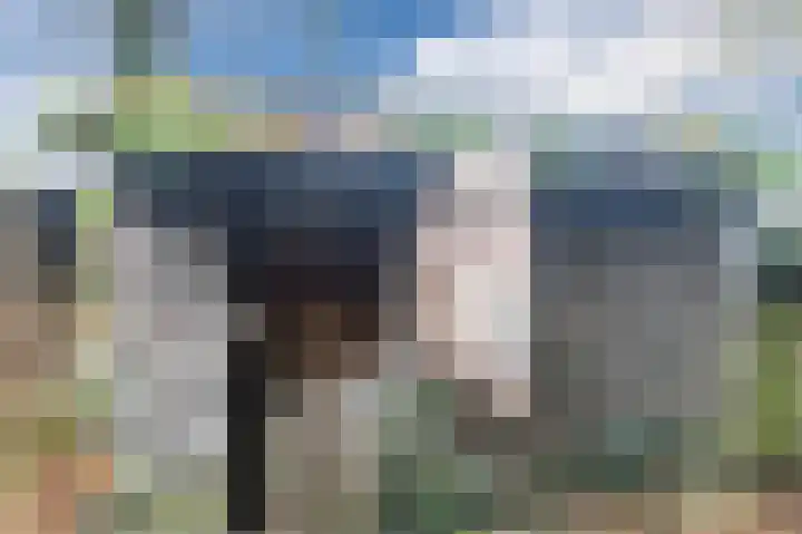 Fluitekamp 110 Hoogland thumbnail 43