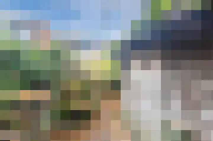 Fluitekamp 110 Hoogland thumbnail 45