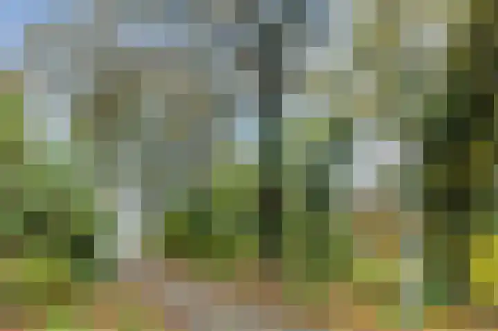 Fluitekamp 110 Hoogland thumbnail 54