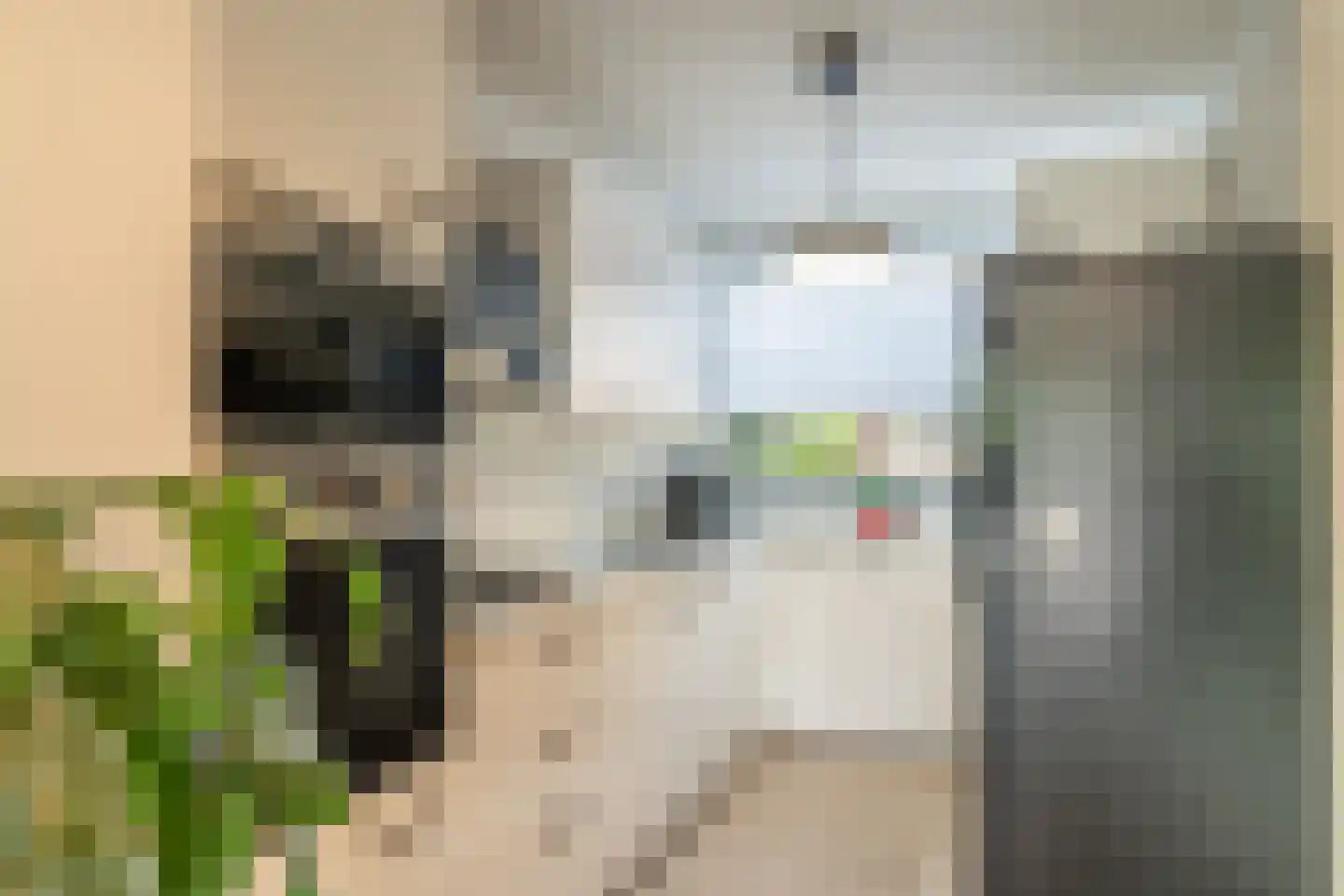 Fluitekamp 125 Hoogland thumbnail 19