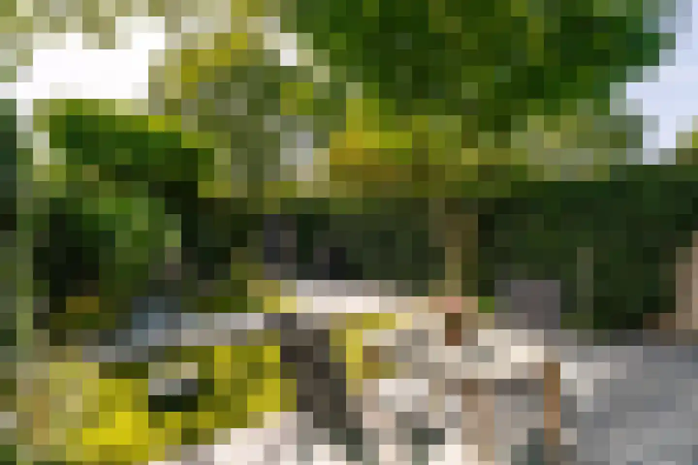 Fluitekamp 125 Hoogland thumbnail 37