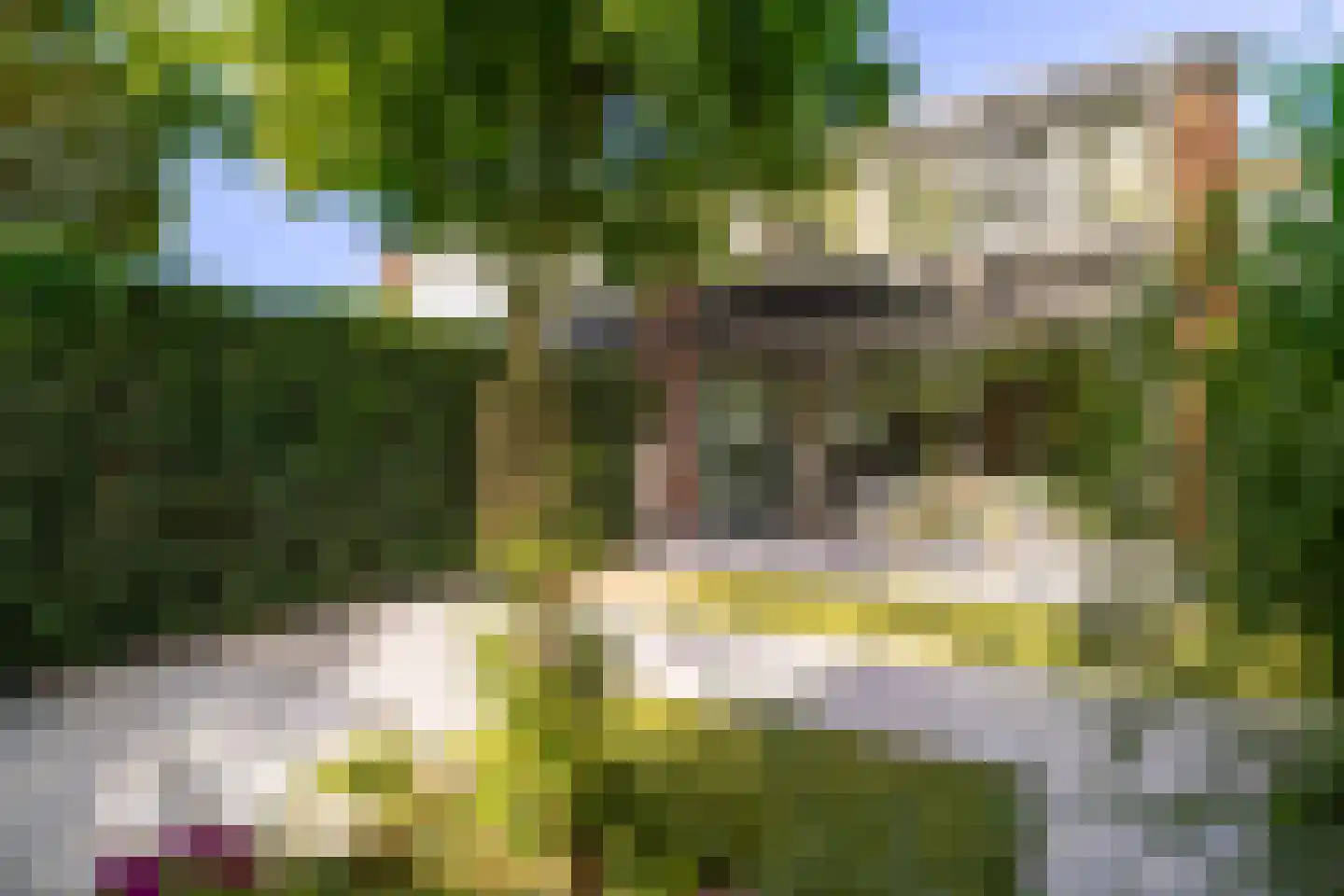 Fluitekamp 125 Hoogland thumbnail 4