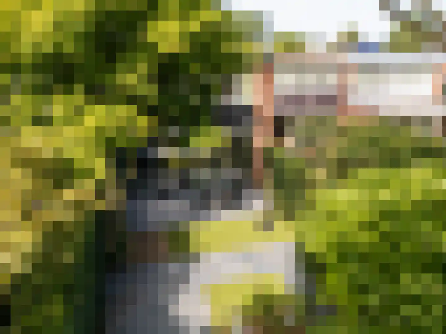 Fluitekamp 125 Hoogland thumbnail 40