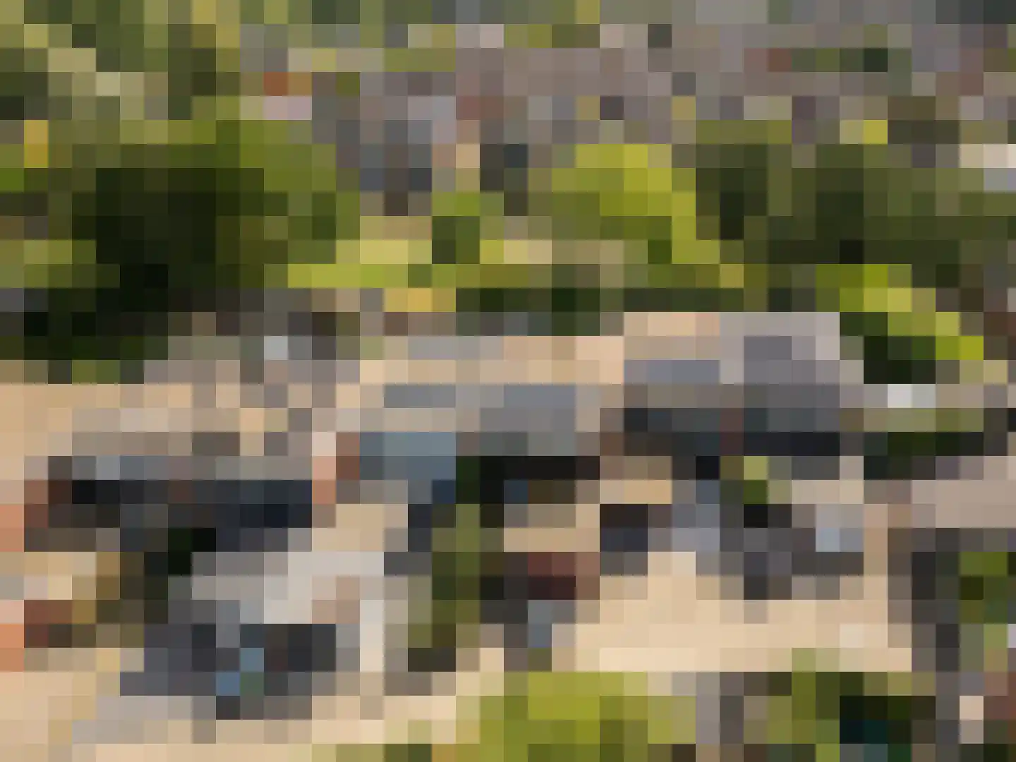 Fluitekamp 125 Hoogland thumbnail 47