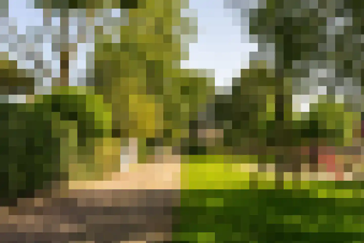 Fluitekamp 125 Hoogland thumbnail 48