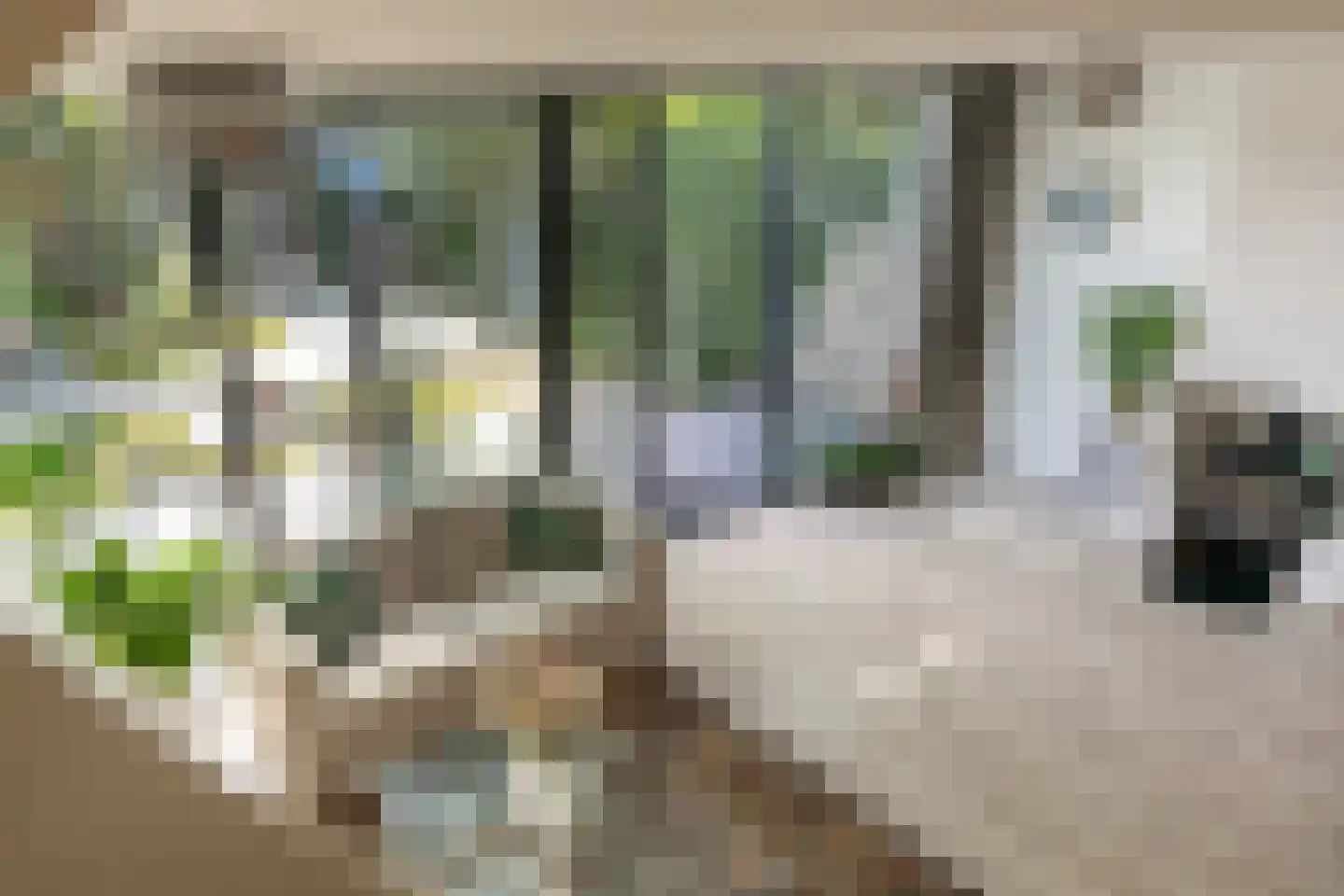 Fluitekamp 125 Hoogland thumbnail 5