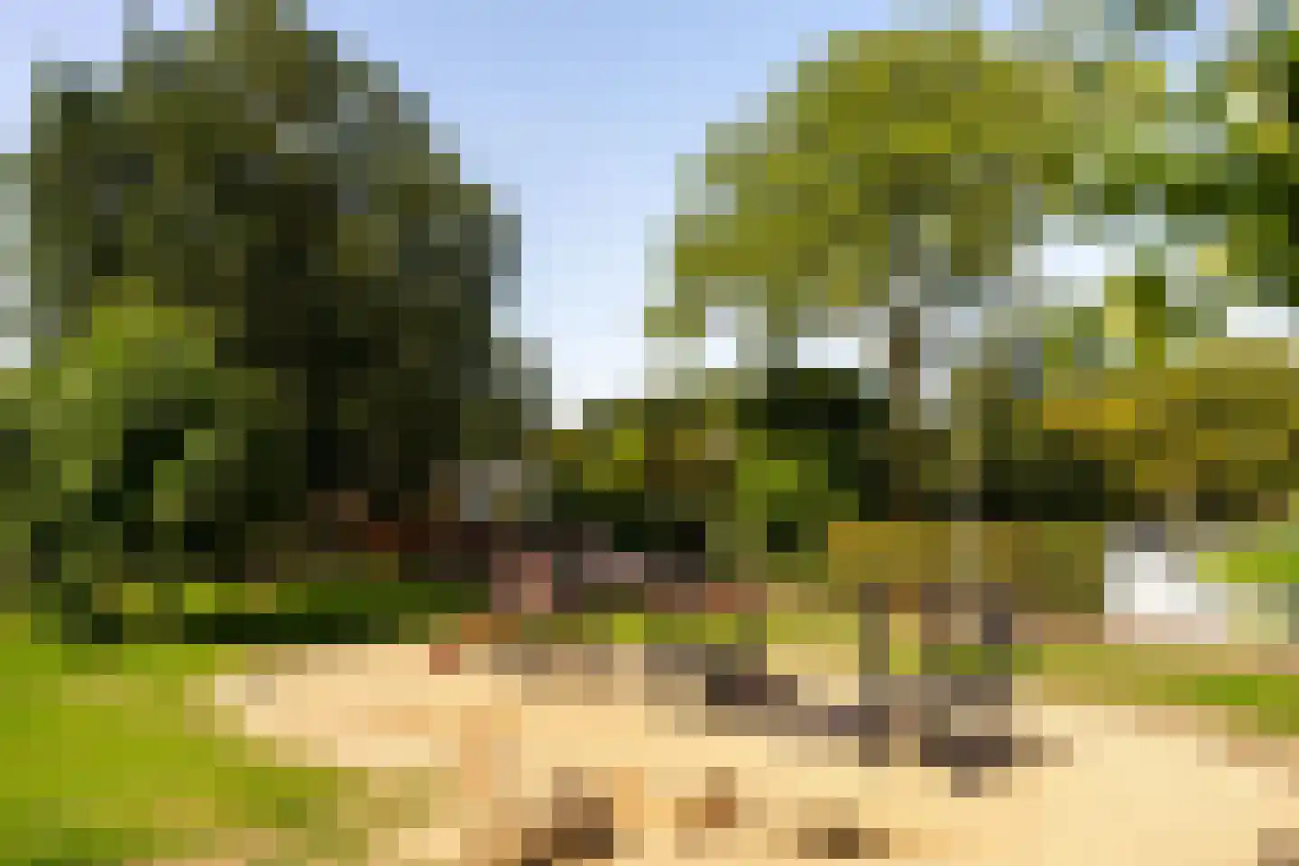 Fluitekamp 125 Hoogland thumbnail 50
